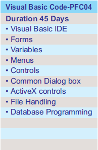 Professional course in Visual Basic